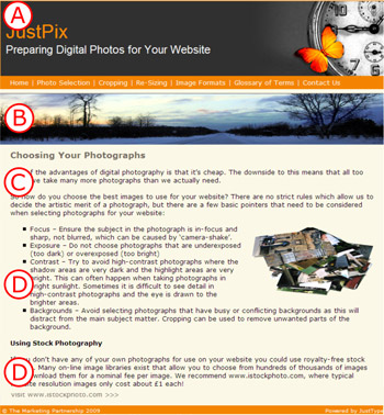 Brochure Page Example